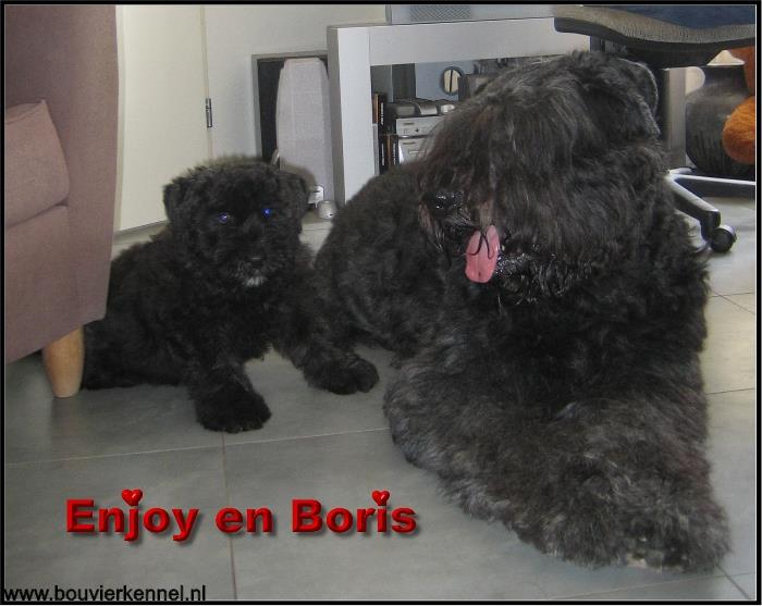 Enjoy_en_Boris