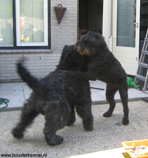 Boris_spelend_met_zijn_oma_Kirby