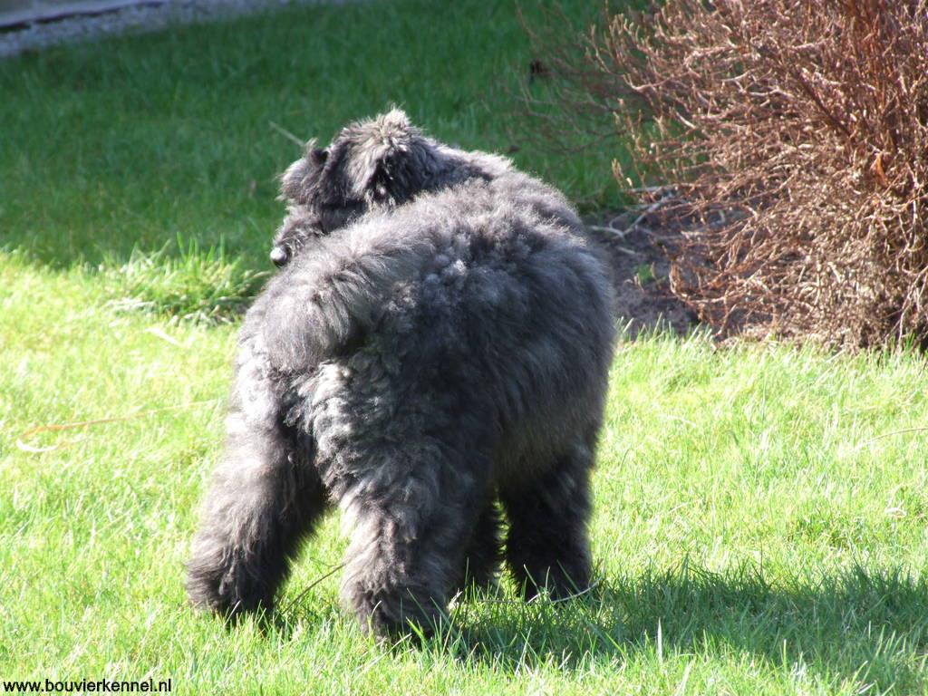 DSCF2217