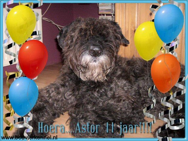 astor_11_jaar