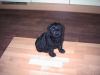 foto37