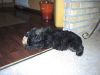 foto42