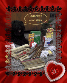Reunie voor Chezney
