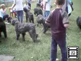 Bekijk de video