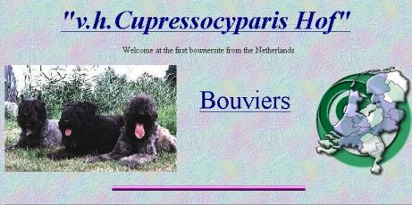 homepage 1996 / 1997